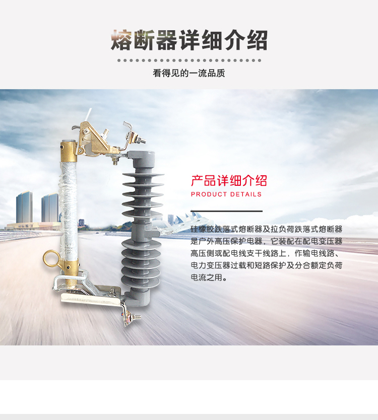 10KV跌落熔斷器SYHRW-12-200A_04.jpg