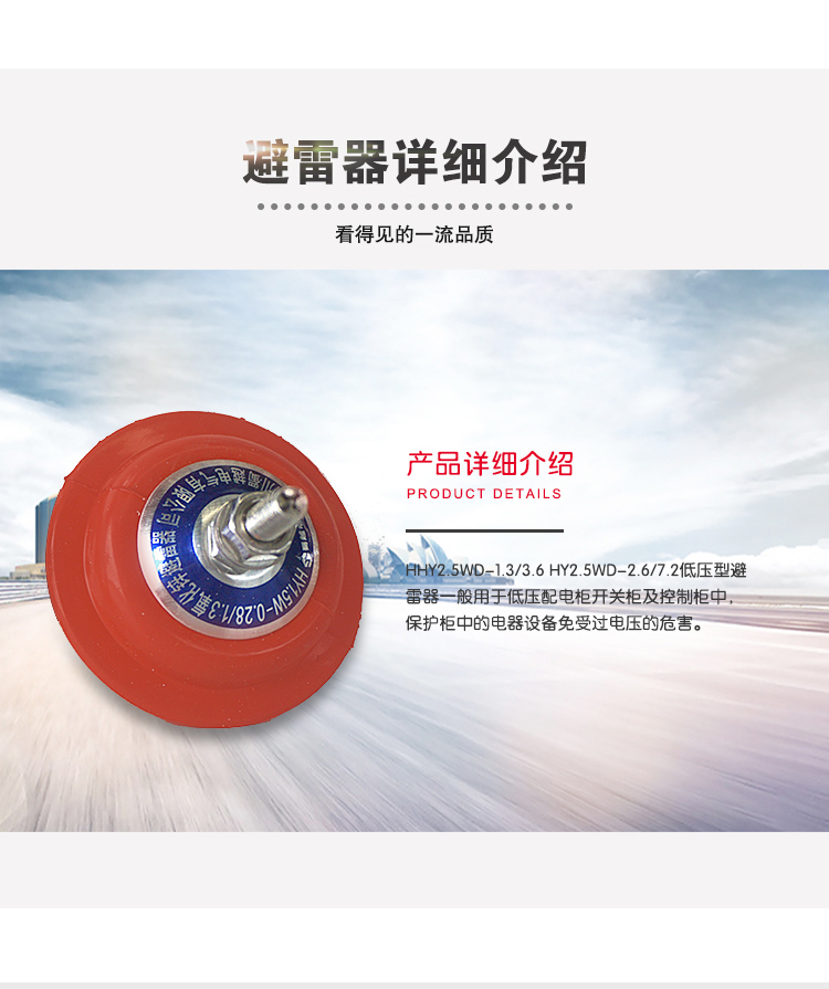 低壓避雷器_04.jpg