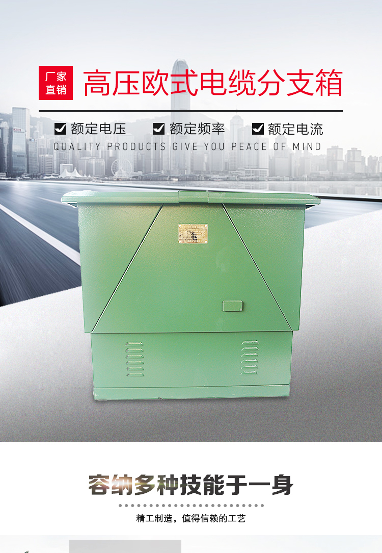 10KV電纜分支箱SYDFW-12KV_01.jpg
