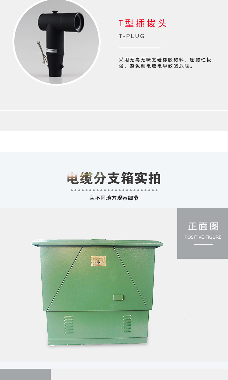 10KV電纜分支箱SYDFW-12KV-拷貝_02.jpg