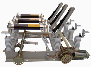 FN5-12D FN5-12RD FN5-12RDL型戶內(nèi)交流高壓負(fù)荷開關(guān)